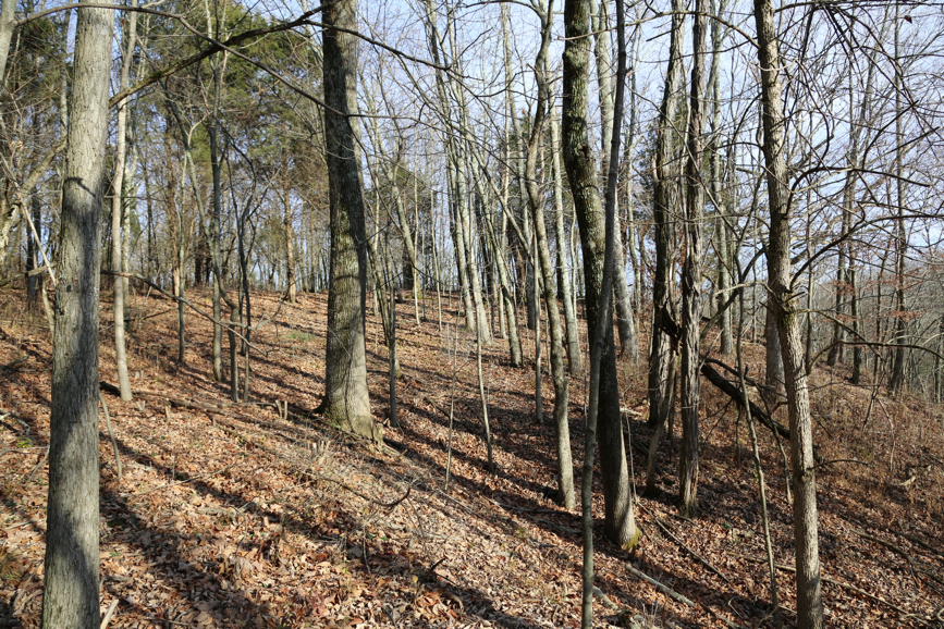 Full Size Image = 3170 K