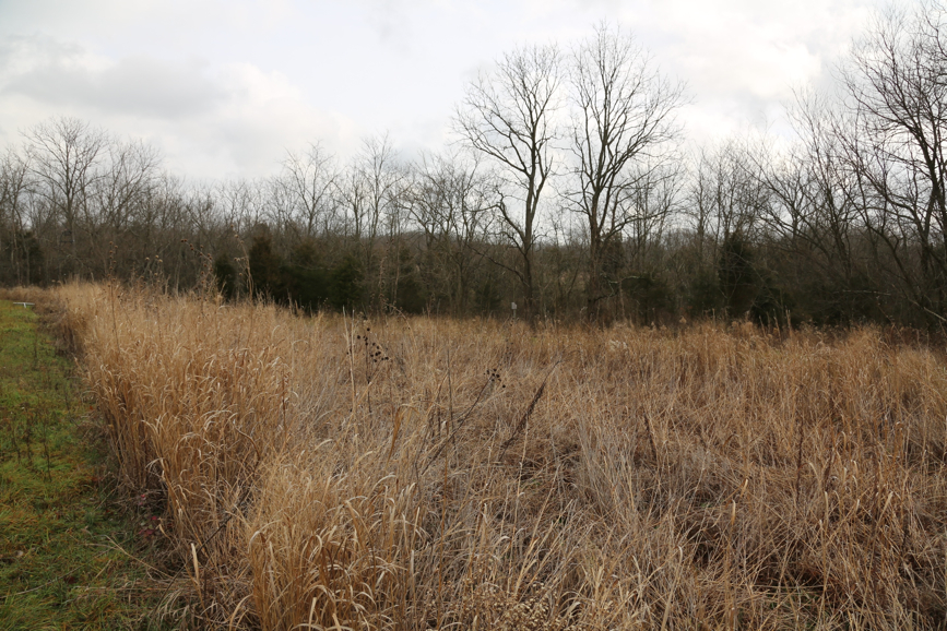 Full Size Image = 2241 K