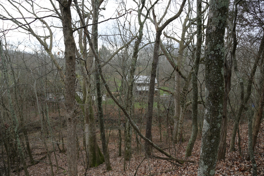 Full Size Image = 2320 K