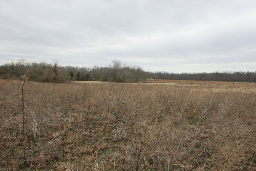 Full Size Image = 3225 K