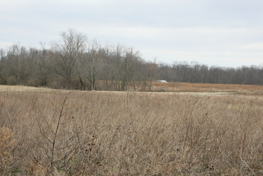 Full Size Image = 3240 K