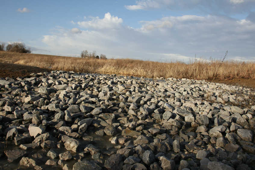 Full Size Image = 3190 K