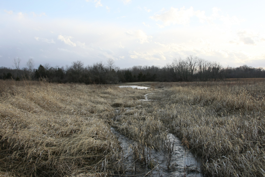 Full Size Image = 3236 K