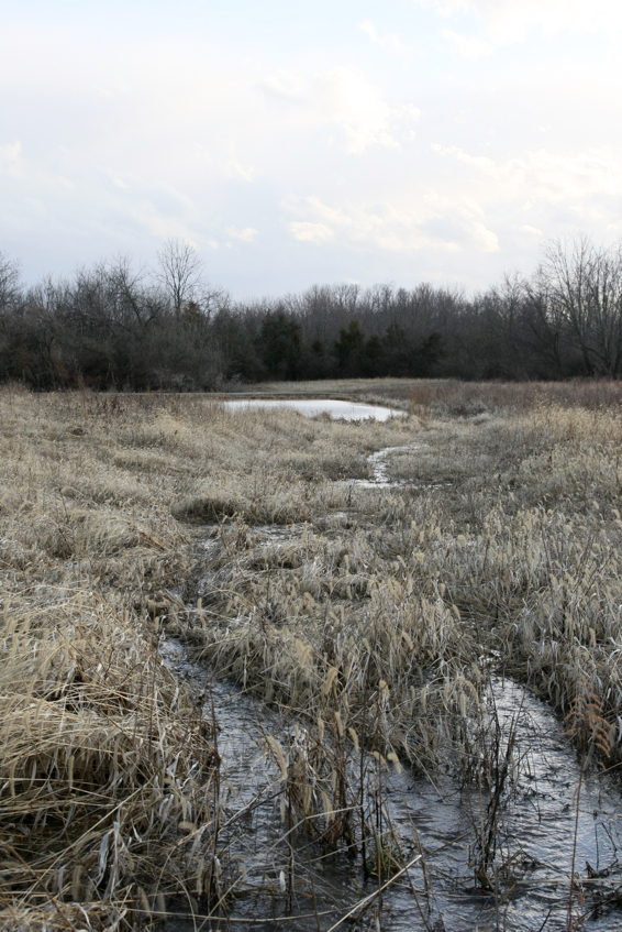 Full Size Image = 2310 K