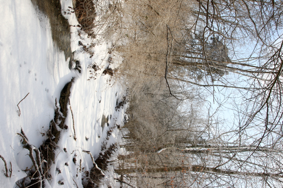 Full Size Image = 2735 K