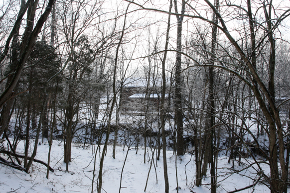 Full Size Image = 2849 K