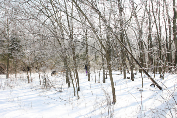 Full Size Image = 2926 K