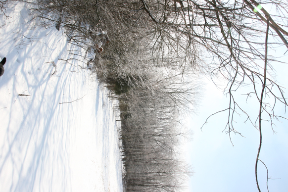 Full Size Image = 2263 K