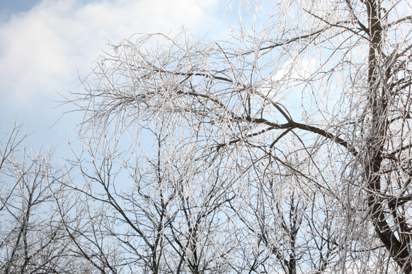 Full Size Image = 2756 K