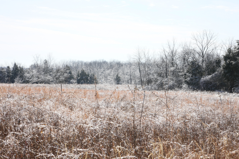 Full Size Image = 6340 K