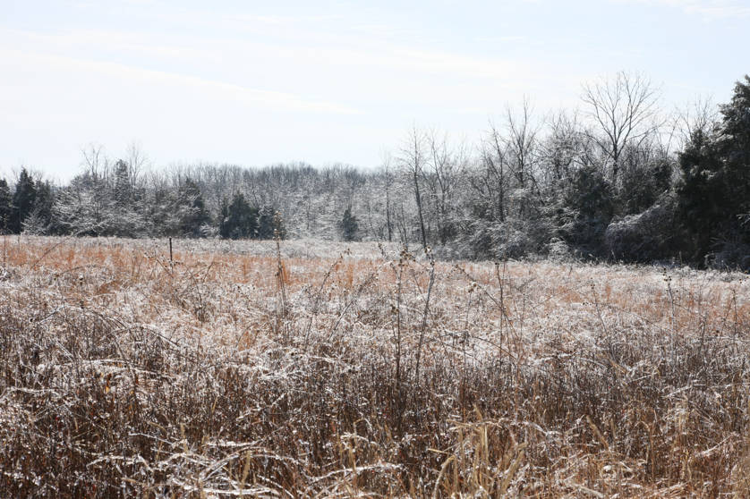 Full Size Image = 6383 K