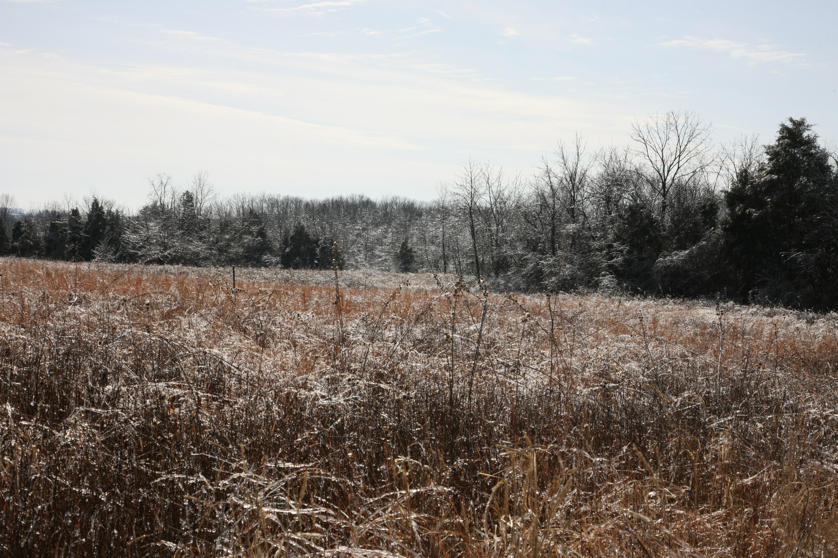 Full Size Image = 5732 K