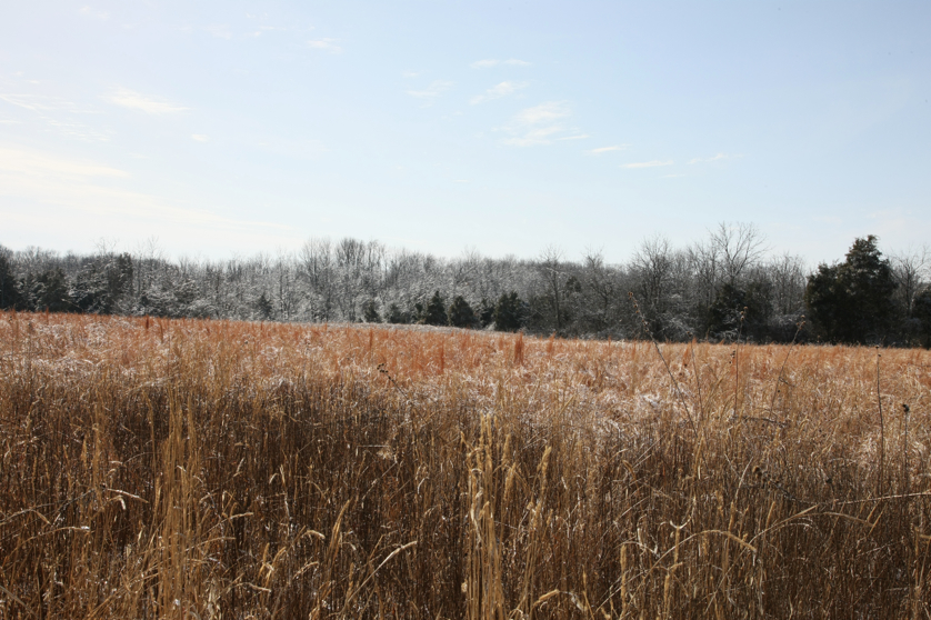 Full Size Image = 5139 K