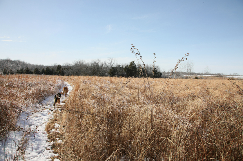 Full Size Image = 5617 K