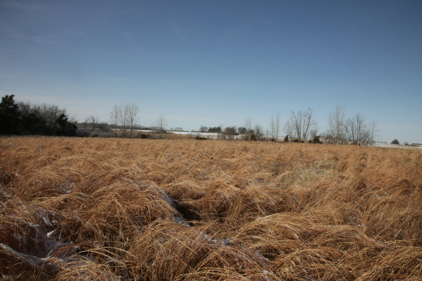 Full Size Image = 5081 K