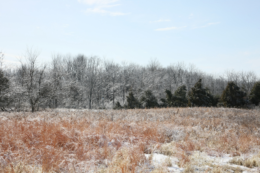 Full Size Image = 5911 K