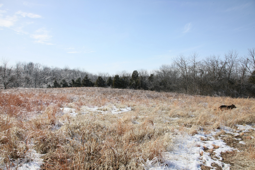 Full Size Image = 5646 K