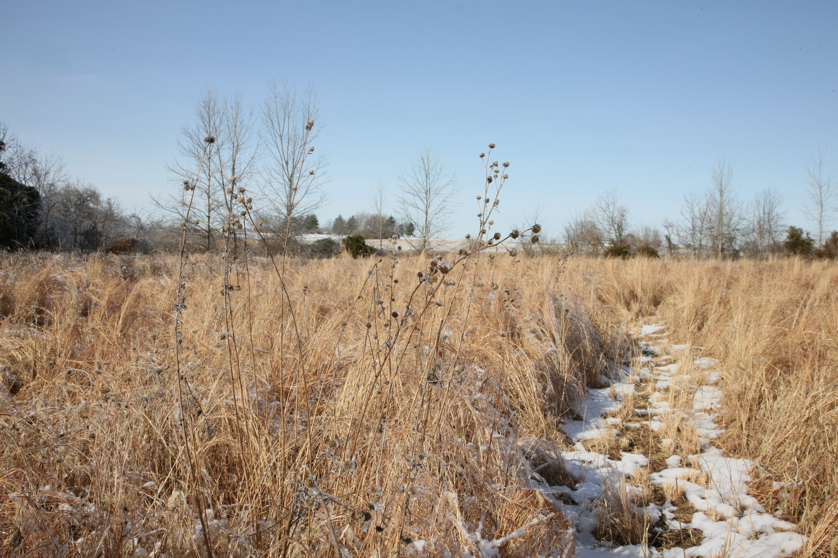 Full Size Image = 5180 K