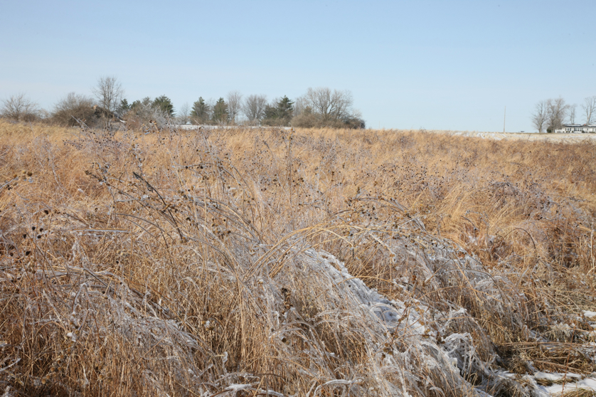 Full Size Image = 6231 K