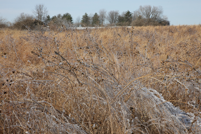 Full Size Image = 6639 K