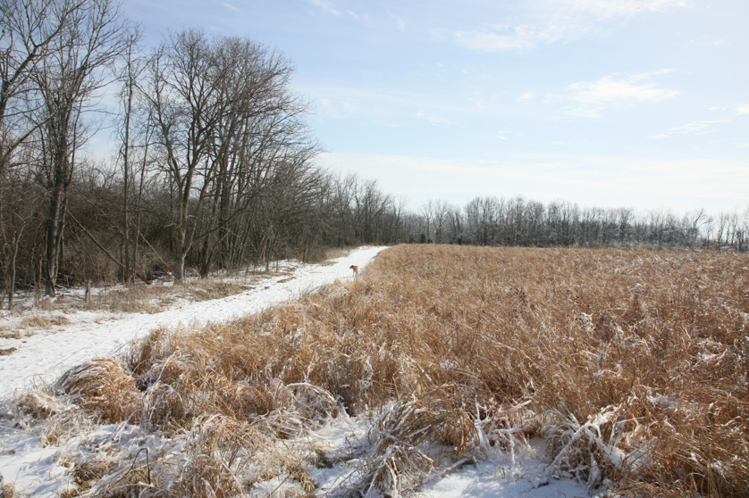 Full Size Image = 6271 K