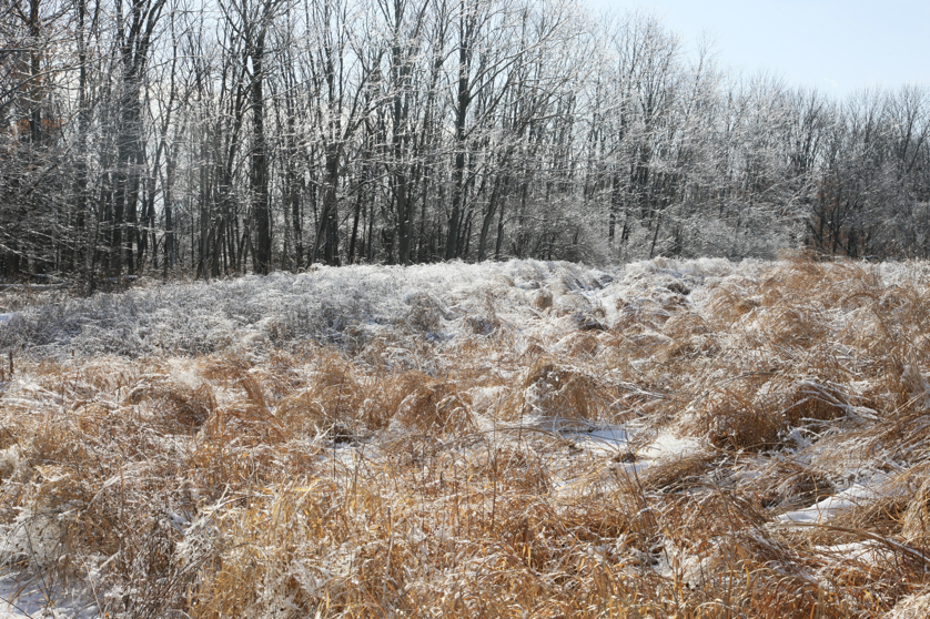 Full Size Image = 8192 K