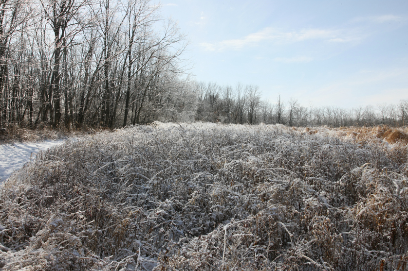 Full Size Image = 6756 K