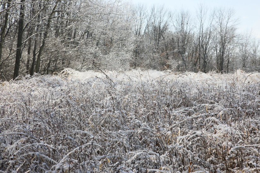 Full Size Image = 6933 K