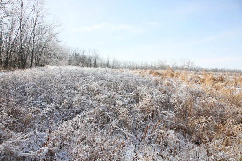 Full Size Image = 6780 K