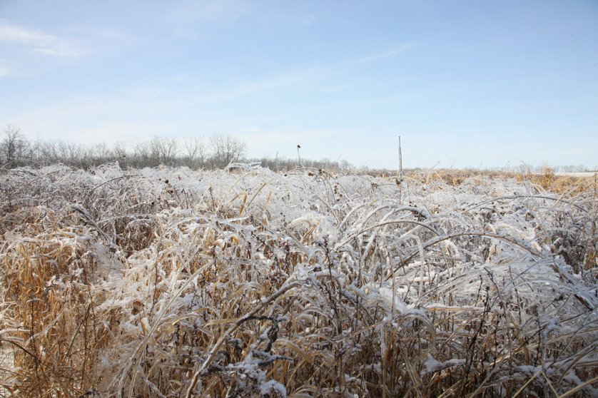 Full Size Image = 5201 K