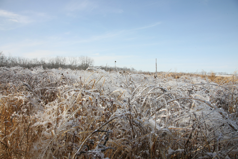 Full Size Image = 4986 K