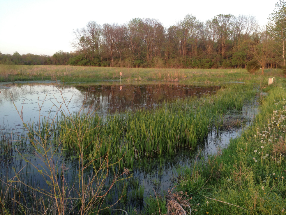 Full Size Image = 7255 K