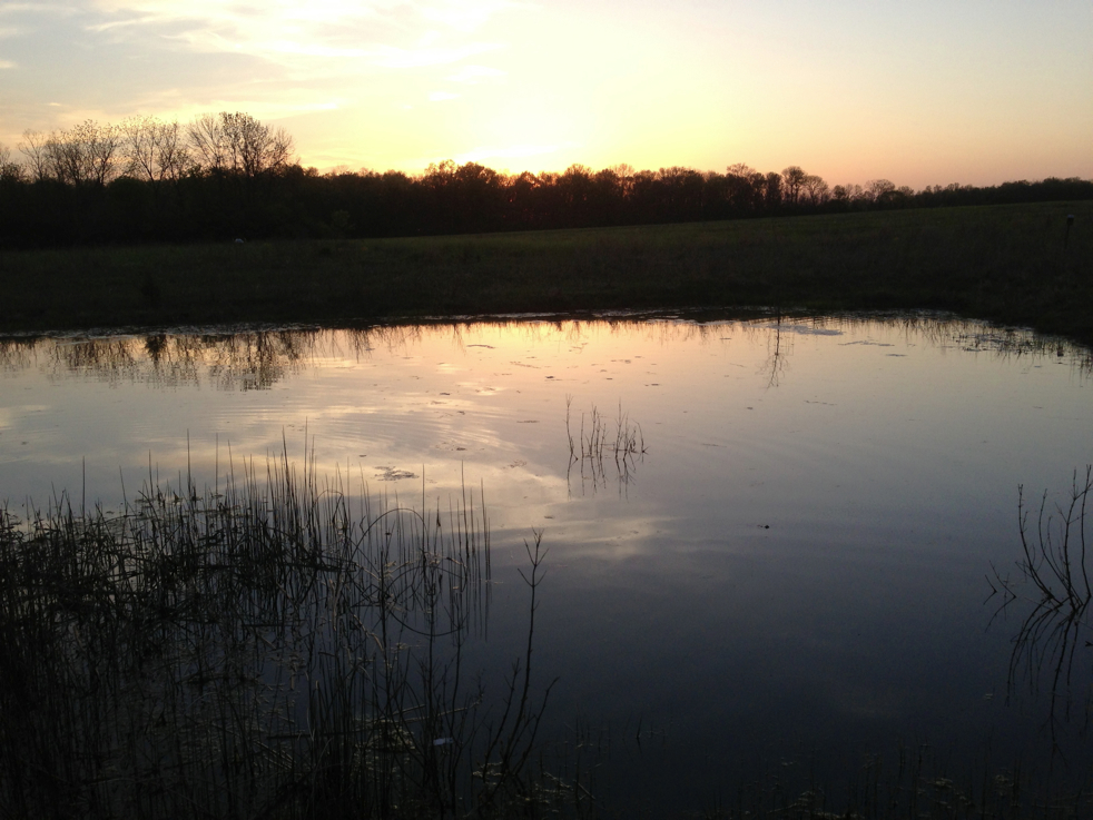 Full Size Image = 3723 K