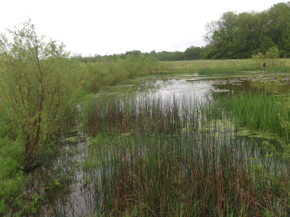 Full Size Image = 6199 K