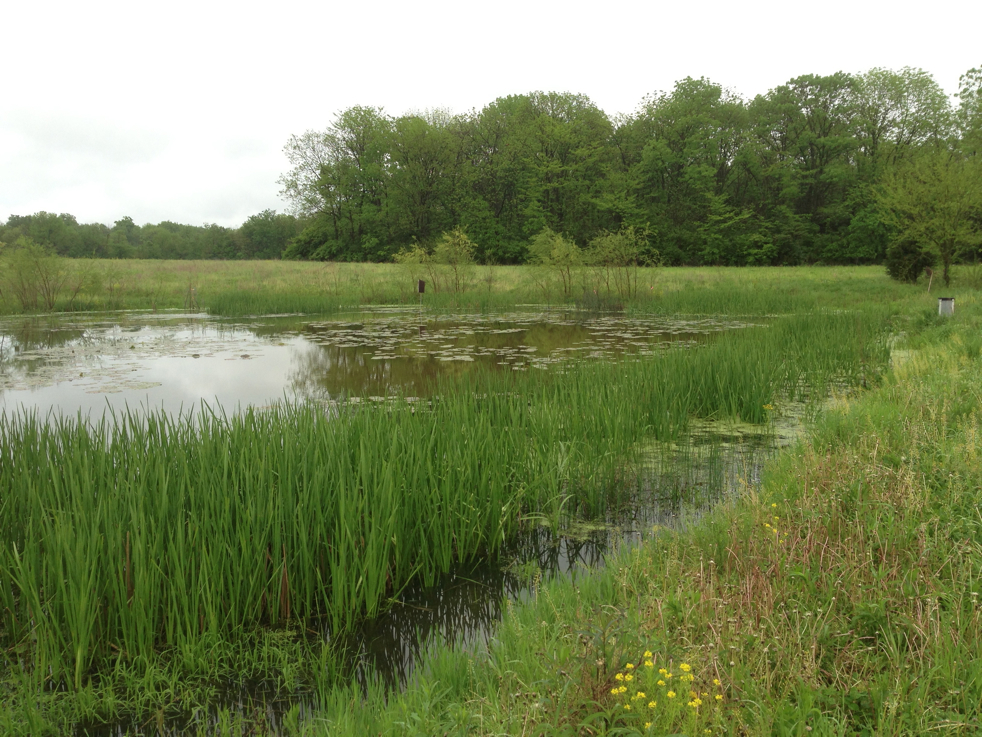 Full Size Image = 6185 K