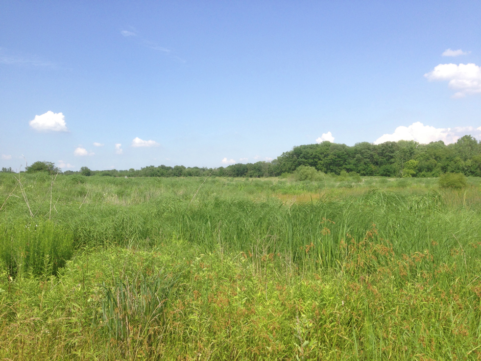 Full Size Image = 6623 K