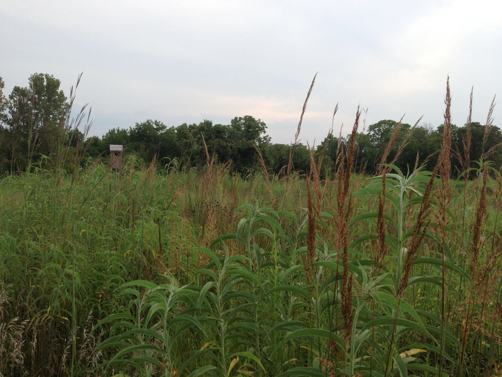 Full Size Image = 5692 K