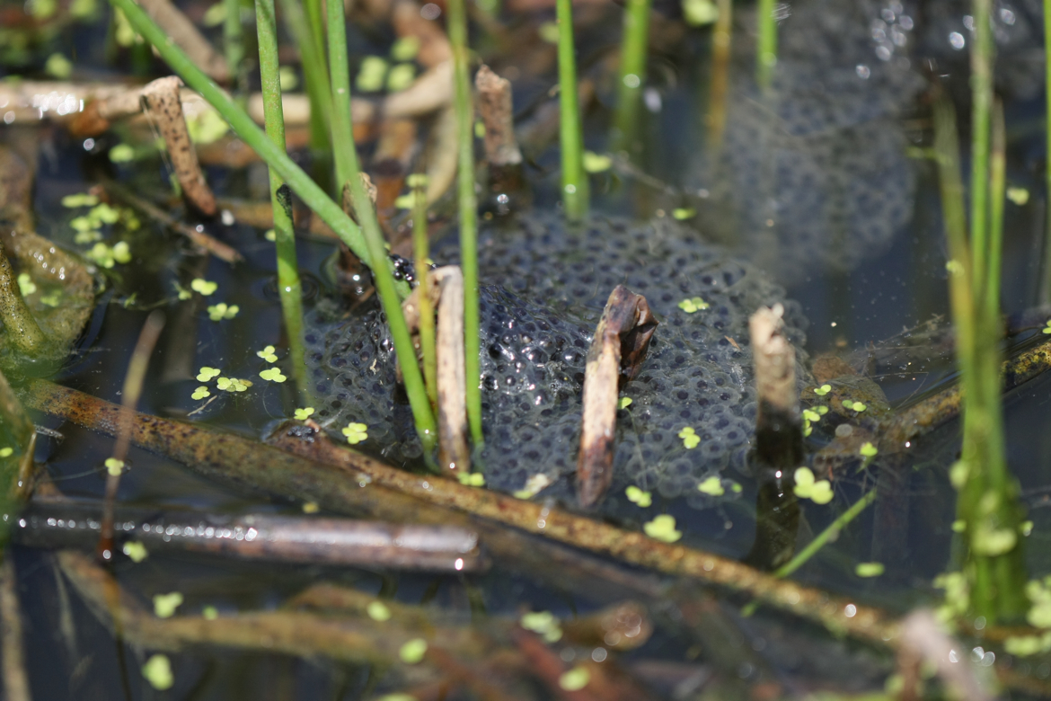 Full Size Image = 5749 K