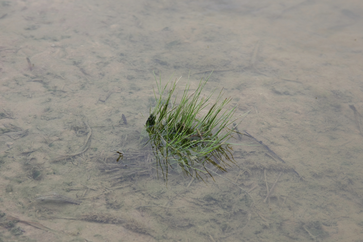 Full Size Image = 5267 K