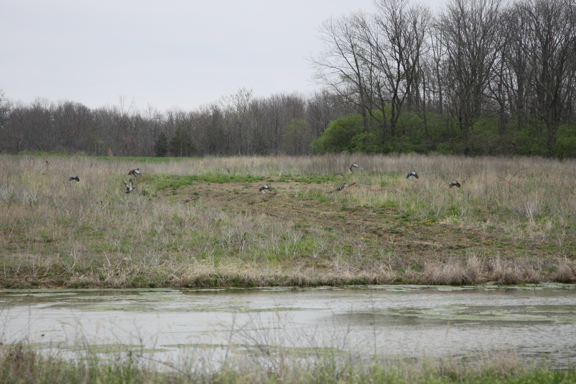 Full Size Image = 7465 K