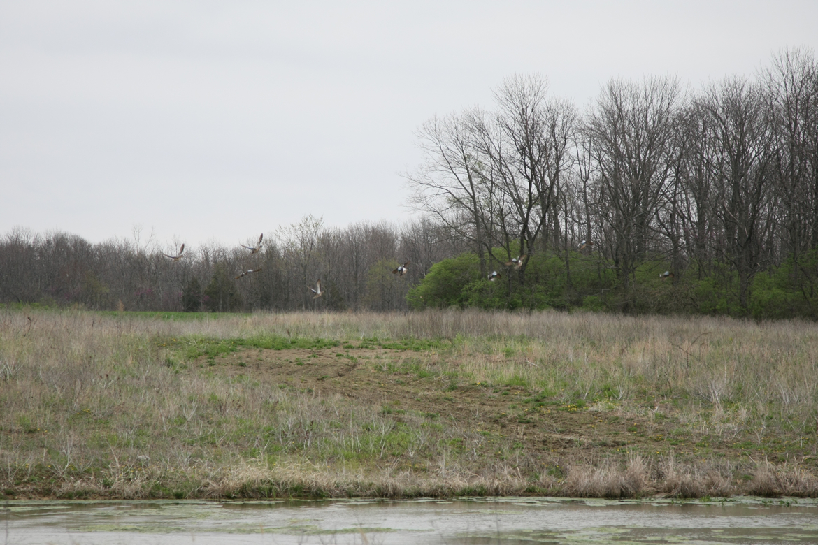 Full Size Image = 7398 K