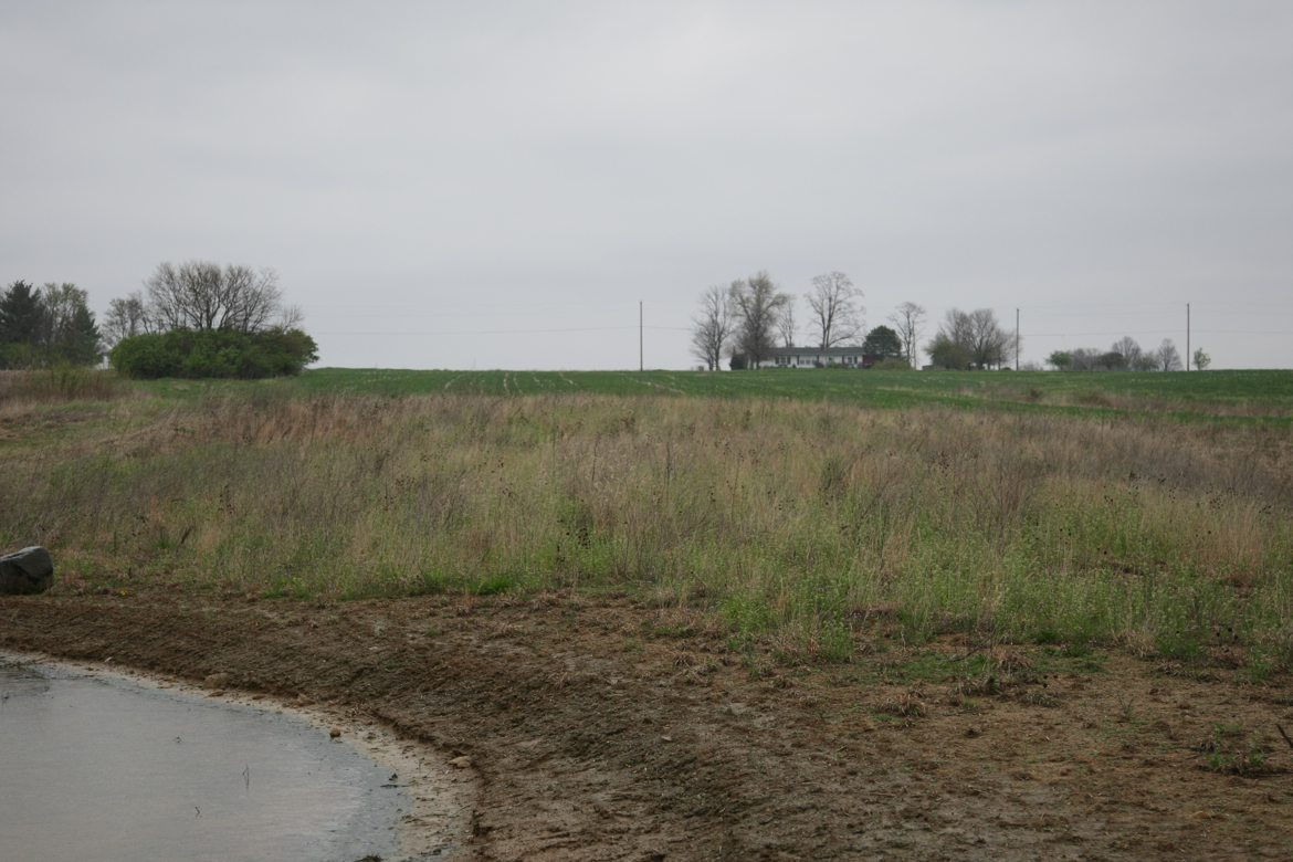 Full Size Image = 6220 K