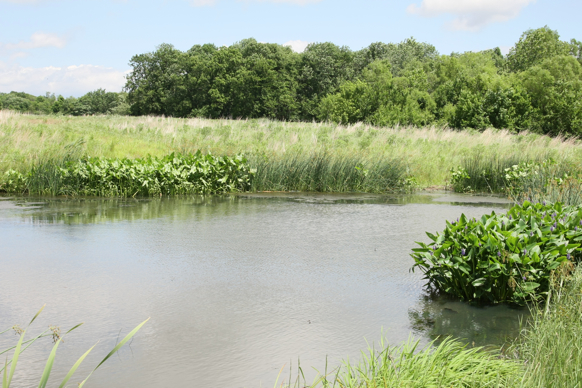 Full Size Image = 2867 K