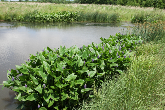 Full Size Image = 3213 K