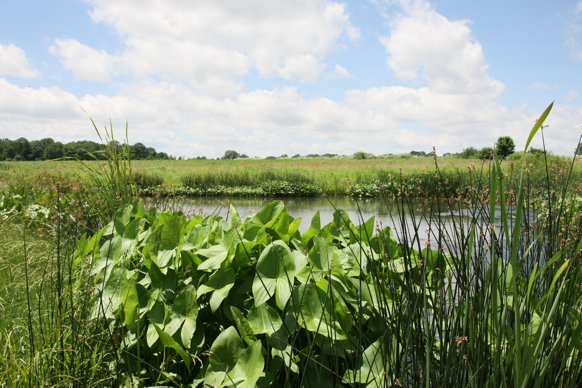 Full Size Image = 2560 K