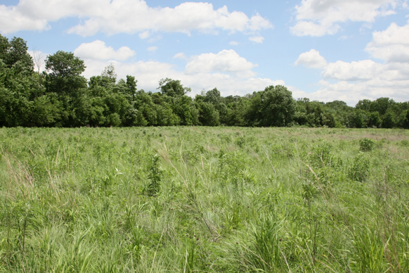 Full Size Image = 2988 K