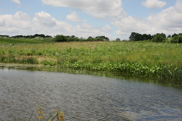 Full Size Image = 2356 K