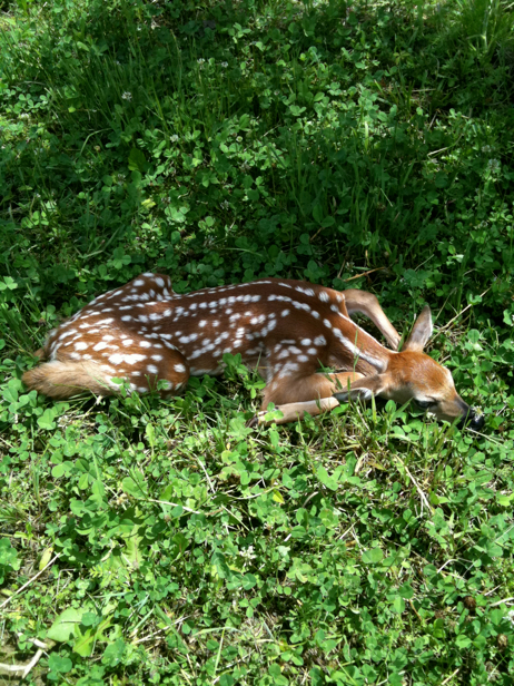 Full Size Image = 4184 K