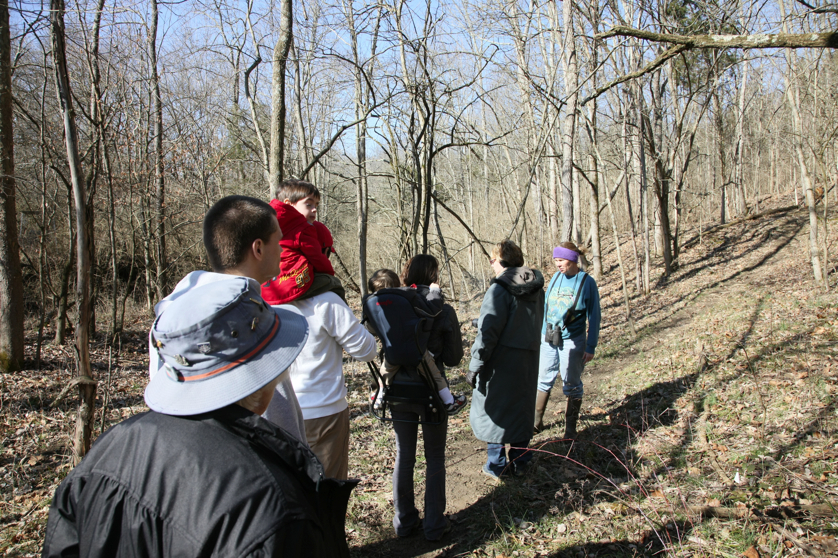 Full Size Image = 7249 K