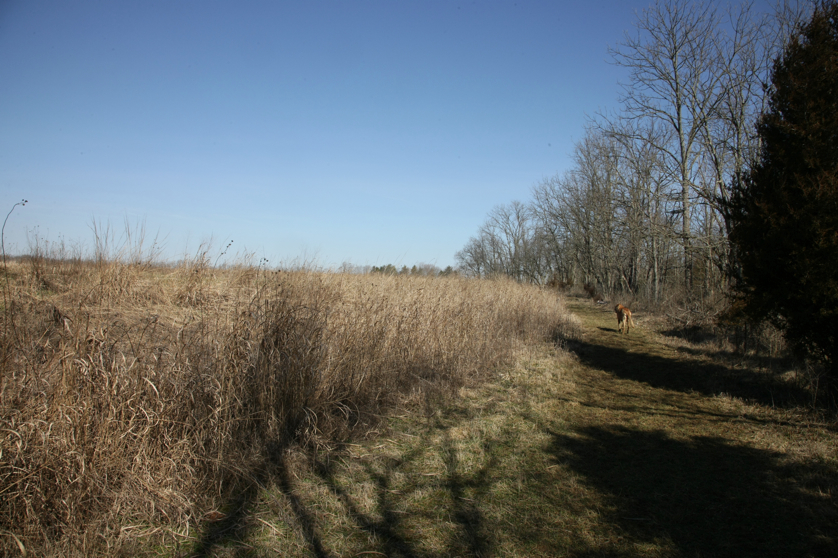 Full Size Image = 5170 K